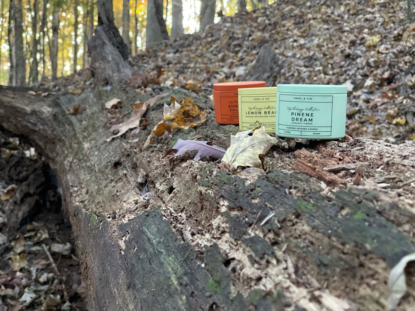 JOOL & Co Terp-Therapy Pinene Dream Terpene Infused Scented Candle